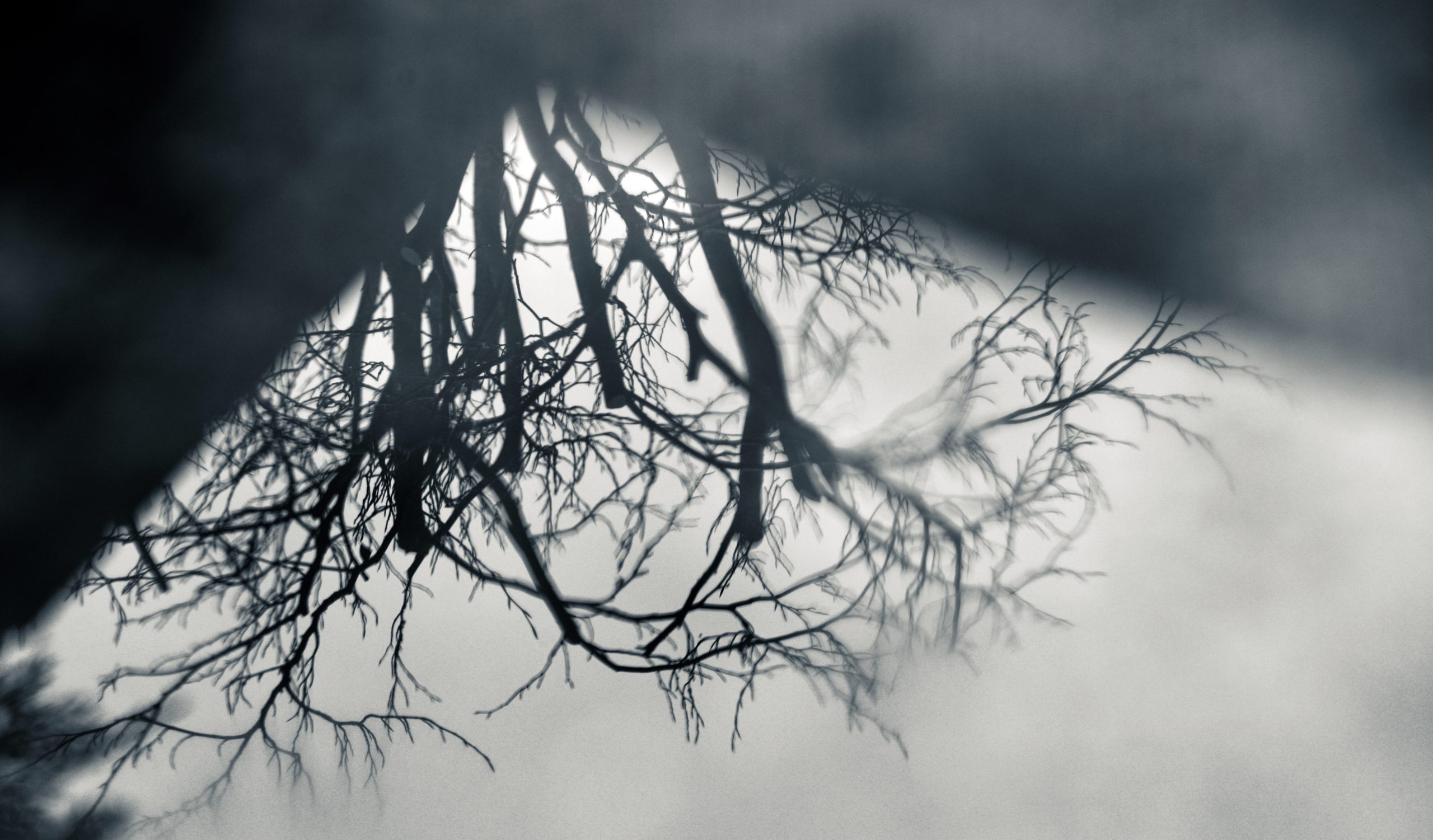 Week 6: Puddles