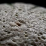 Week 15: Detail