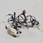 Week 16: Under/over exposed