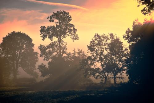 Sun and mist